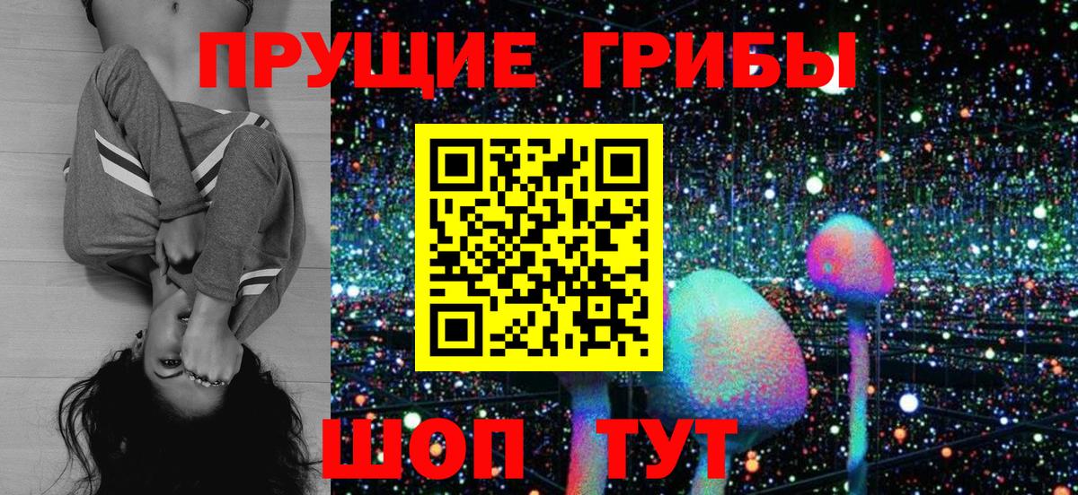 где купить наркоту  Вход с VPN  Новоалександровск  Галлюциногенные грибы мицелий  Галлюциногенные грибы Magic Shrooms 