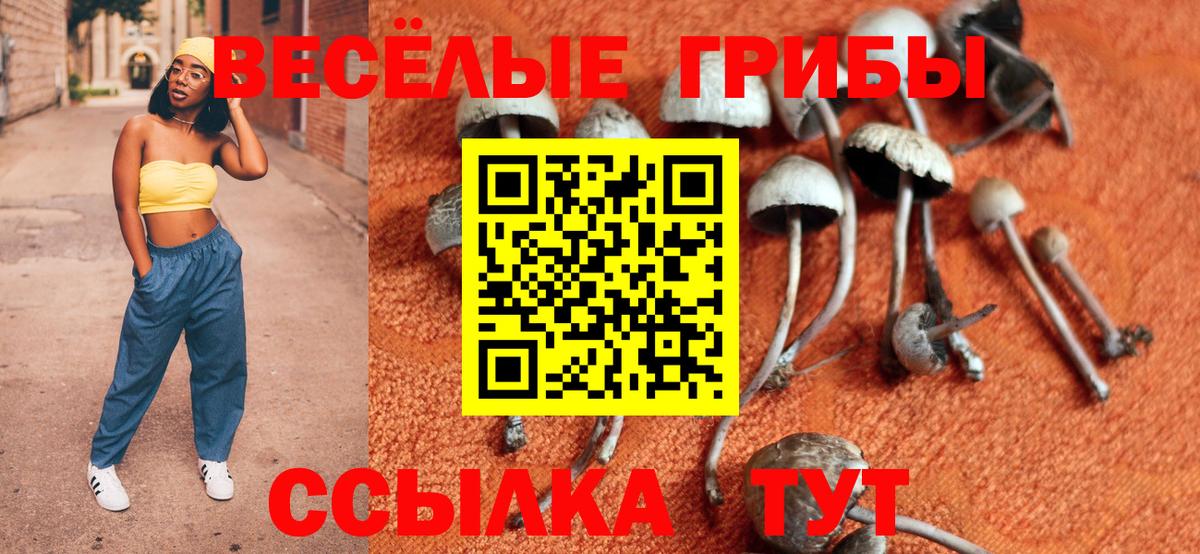 Псилоцибиновые грибы прущие грибы Новоалександровск